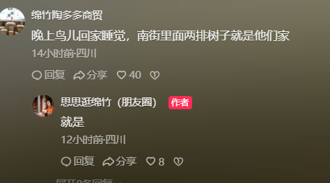 四川綿竹又現“萬鳥歸巢”奇觀，市民：鳥群年年赴約，官方曾回應是自然現象